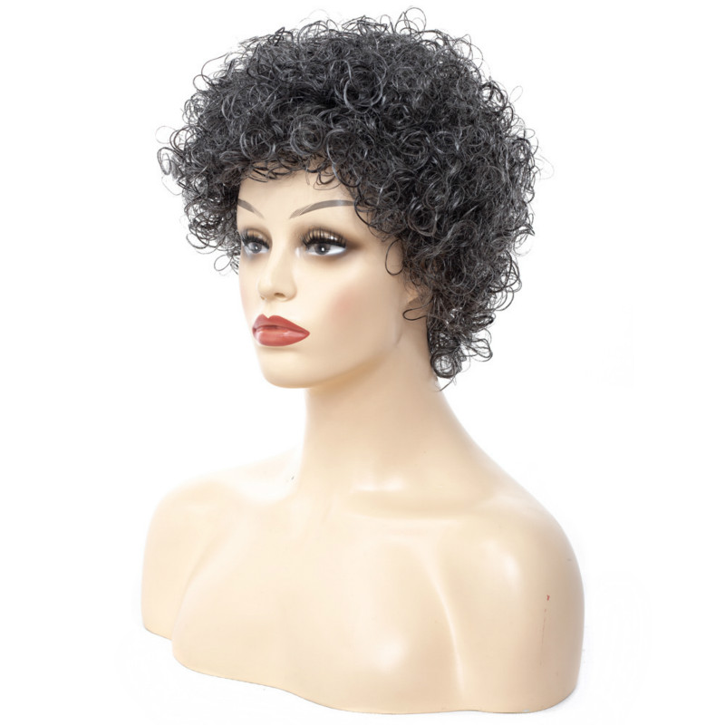 Instant Sale Hot Women's Wig Headgear Short Explosive  Wigs