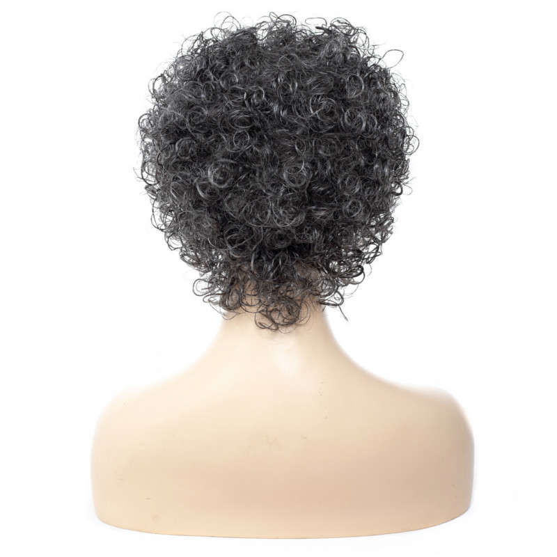Instant Sale Hot Women's Wig Headgear Short Explosive  Wigs