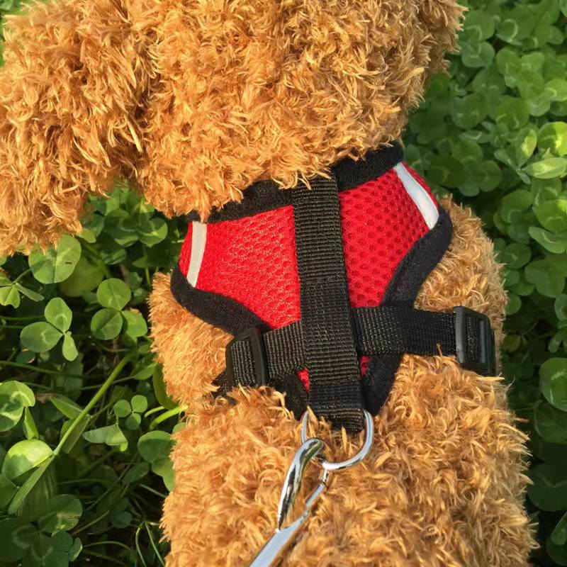 Dog Harness Cat Harness Dogs Leashs Training Soft Mesh Chest Strap Supplies Pet Products black