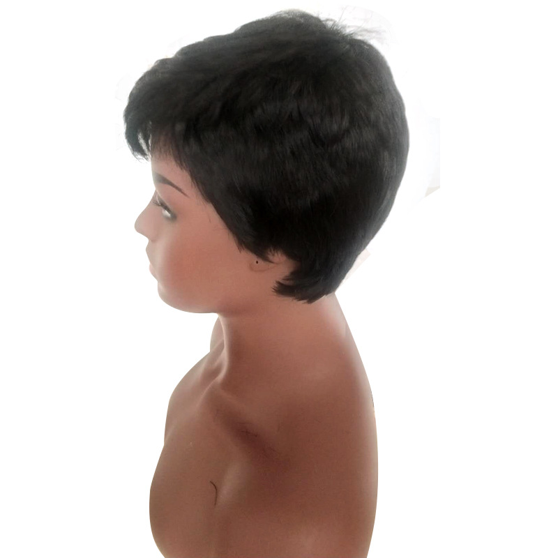 Women Synthetic Short Black Wigs Natural Hair Wigs Heat Resistant Hair Wig for Women