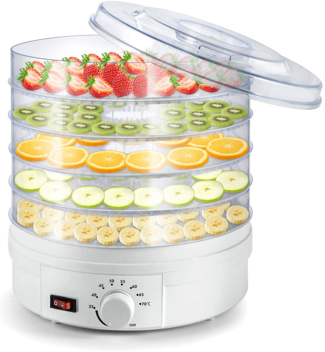 Food dehydrator fruit drying dish dryer vegetable electric 5 beef fruit meat