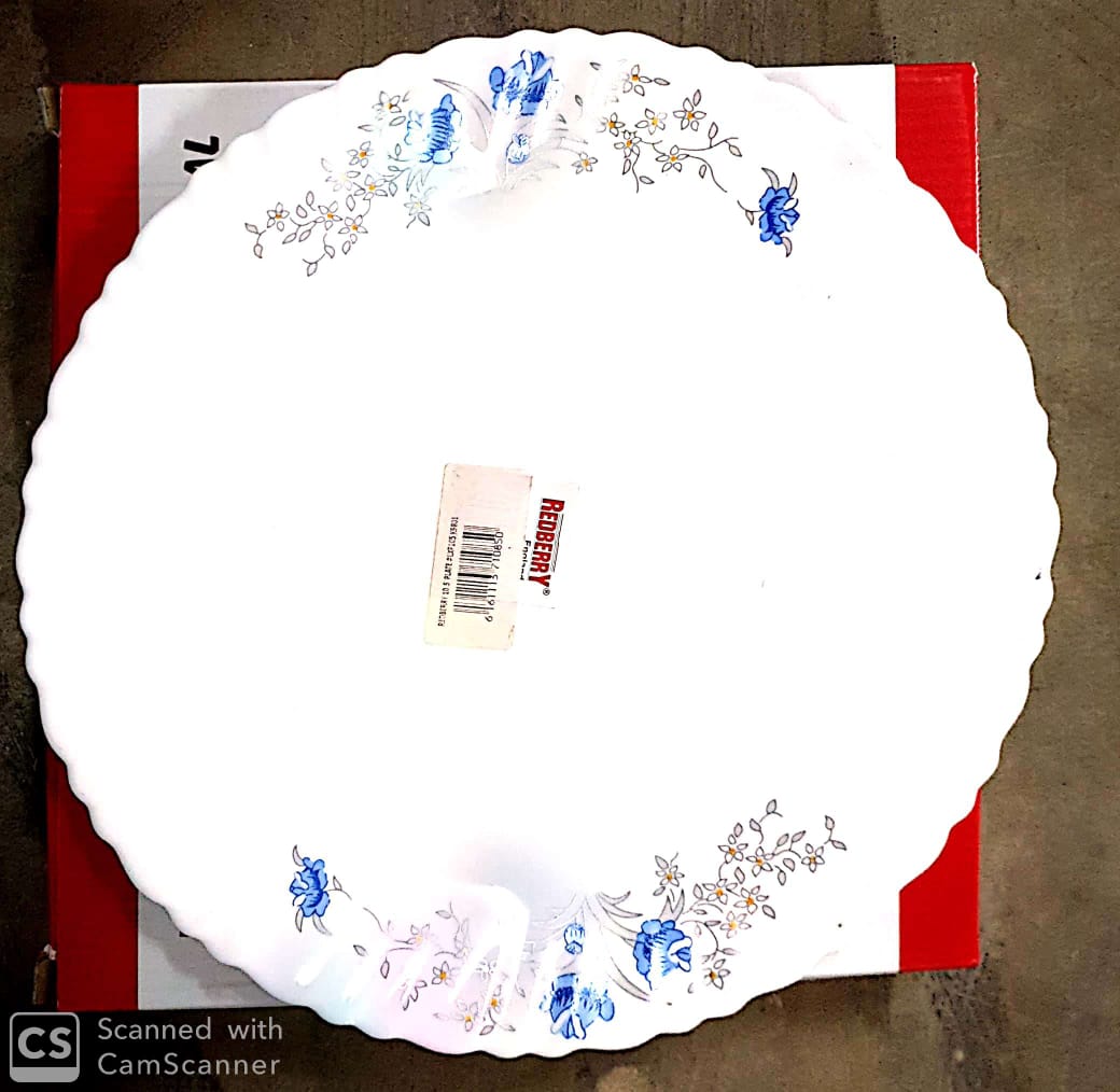 6 Pieces Redberry Ceramic Dinner Plates Set
