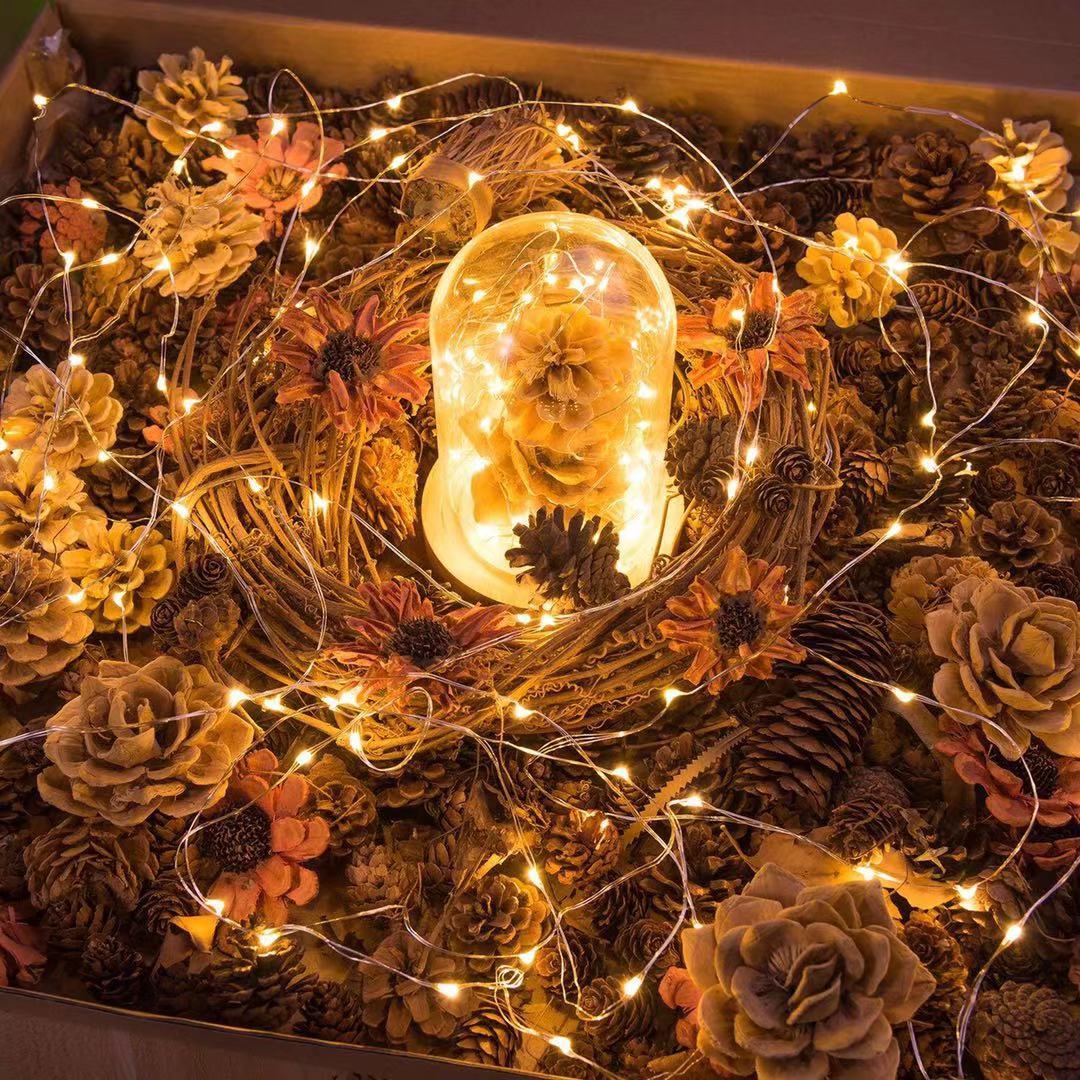 10 meters light string USB copper wire Christmas wedding party LED decorative lights