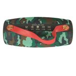 Wster WS-1830 Xtreme Portable Wireless Bluetooth Speaker