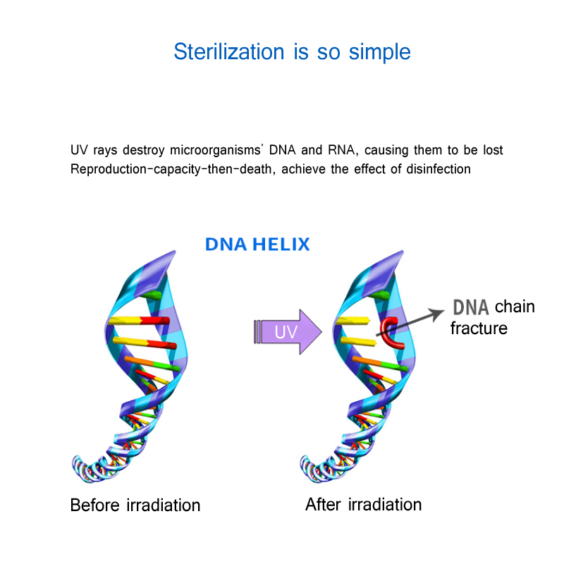 Mobile Phone Disinfection and Aromatherapy Machine Mul-Box Fully Automatic Double UV Sterilization