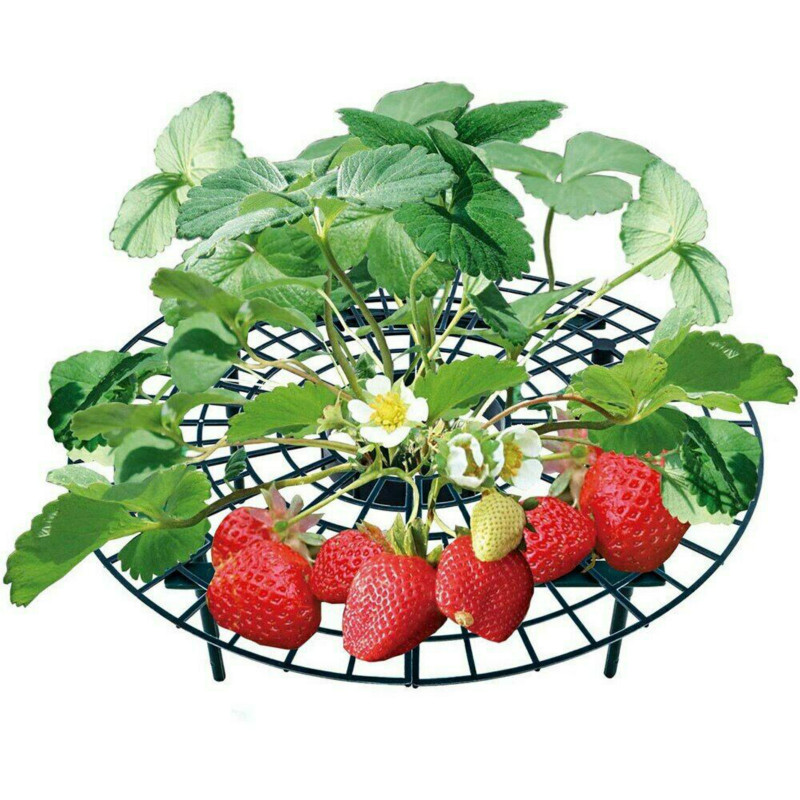 Garden Strawberry Planting Bracket Plant Climbing Pillar Balcony Vegetable Rack Green