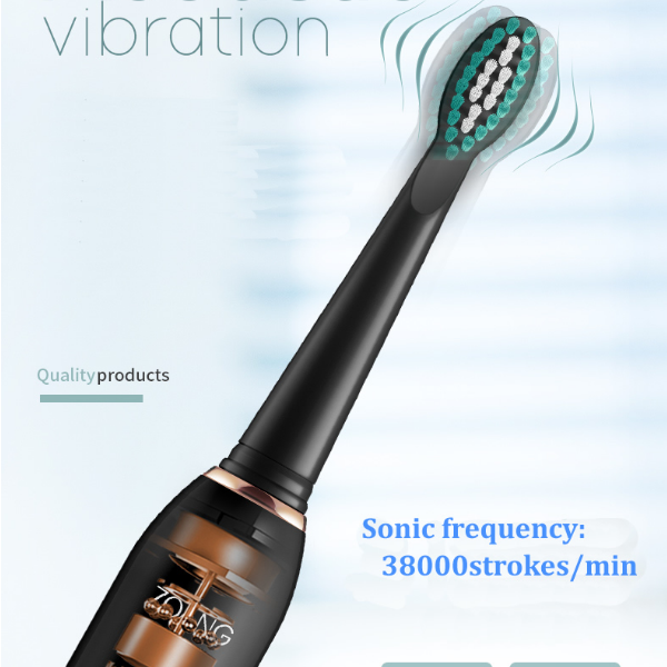 gollinio Sonic Electric Toothbrush Smart tooth Usb fast Charging tooth brushOral Hygiene