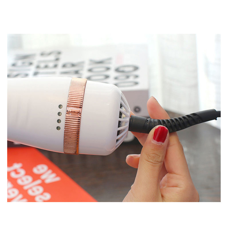 Portable 2-In-1 Pet Hairdryer Integrated Hair Style-body Machine Blowing And Pet Products
