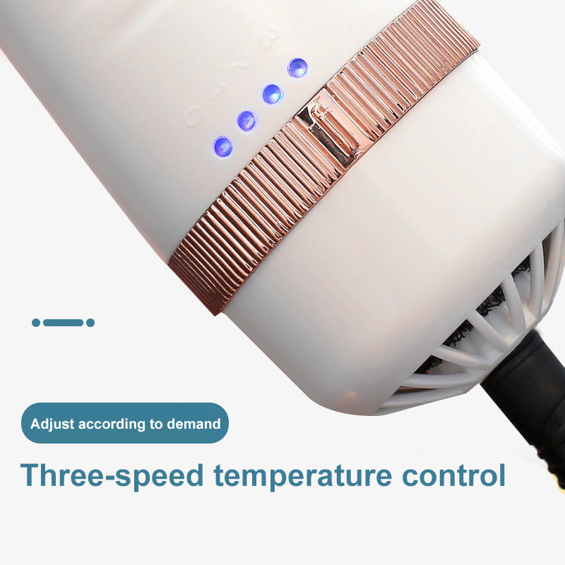 Portable 2-In-1 Pet Hairdryer Integrated Hair Style-body Machine Blowing And Pet Products