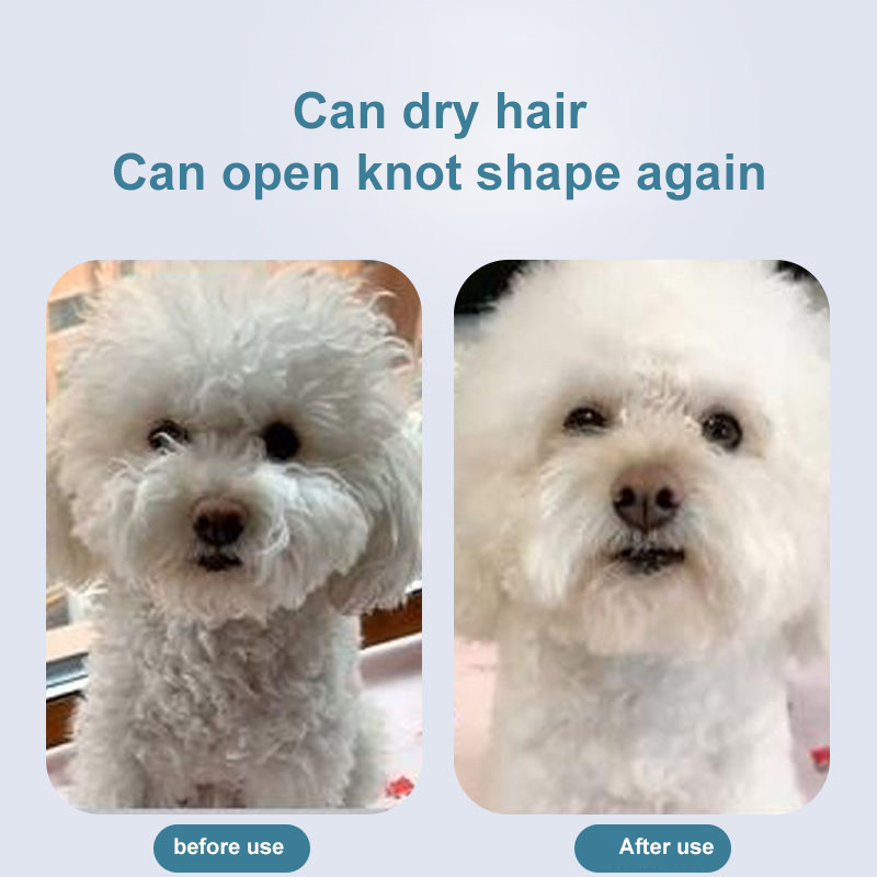 Portable 2-In-1 Pet Hairdryer Integrated Hair Style-body Machine Blowing And Pet Products