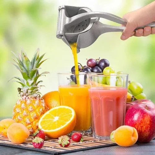 manual juice Extractor Handheld Stainless steel Fruit press stainless steel Juicer