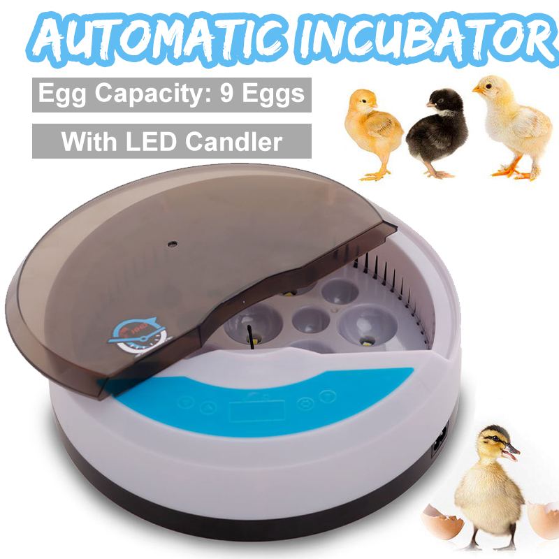 9 Eggs Incubator Automatic Temperature Control Farm Hatchery Incubator
