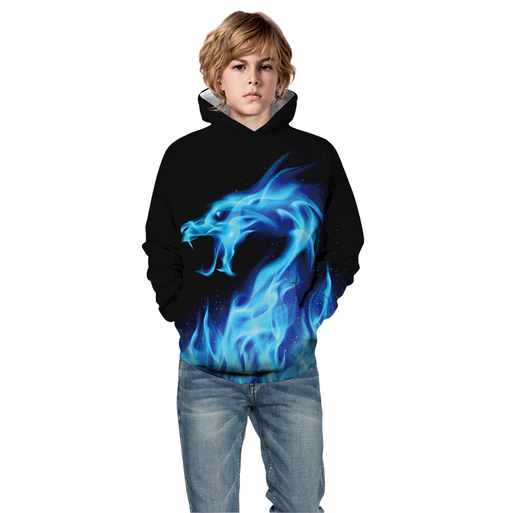 Hoodies Sweatshirt with 3D Print for Boys and Girls