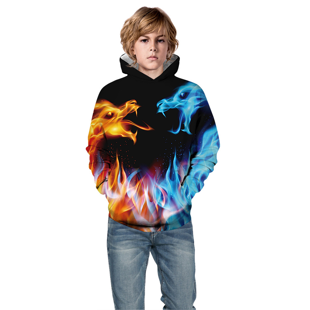 Hoodies Sweatshirt with 3D Print for Boys and Girls