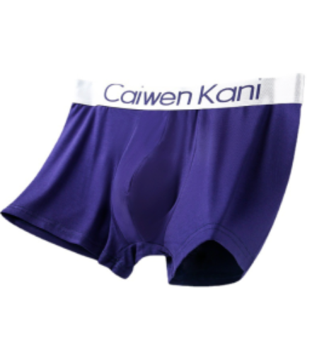 Cailv Kerini Canned Men's Modal High elastic boxer underwear Men's youth Boxer shorts fashion