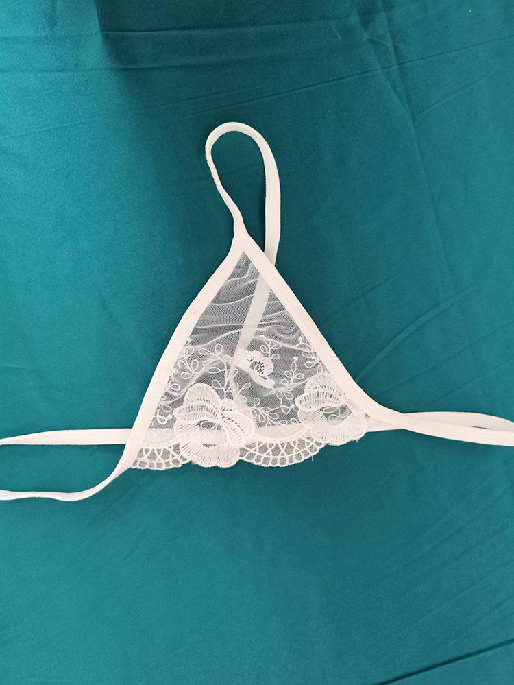 New Arrival Women Sexy Lingerie Sexy Lace  Perspective Panties New design strap thong Women's High end Embroidery Sexy Mesh See-through Underwear Club Clothing  Sexy Lace Underwear