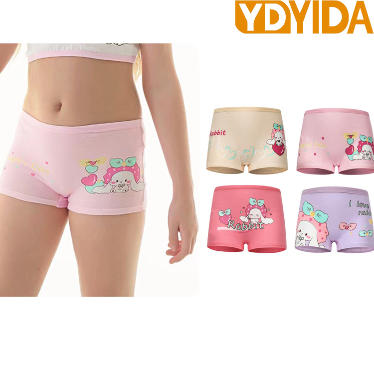 4 Pcs Baby Girl Children Cotton Cartoon Printed Boxer Briefs Panties Girl's Underwear High Quaility Girls Clothing Children Underwear