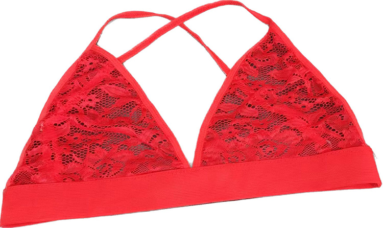 2Pcs/Set New Arrival Ladies Sexy Lingerie Bra+Underpant Large Size Lace Underwear Women Sexy Mesh Perspective Lace Bra Brief Sets Sexy Lace Bra And Sexy Lace Underpants Suit