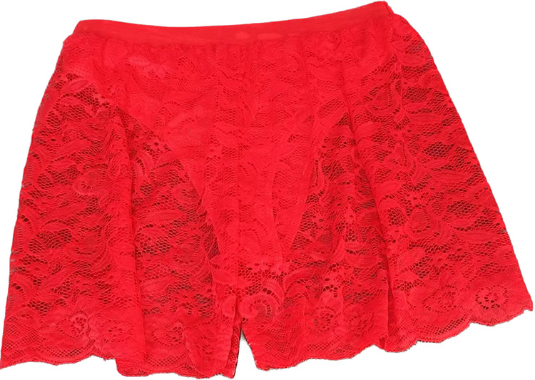 2Pcs/Set New Arrival Ladies Sexy Lingerie Bra+Underpant Large Size Lace Underwear Women Sexy Mesh Perspective Lace Bra Brief Sets Sexy Lace Bra And Sexy Lace Underpants Suit