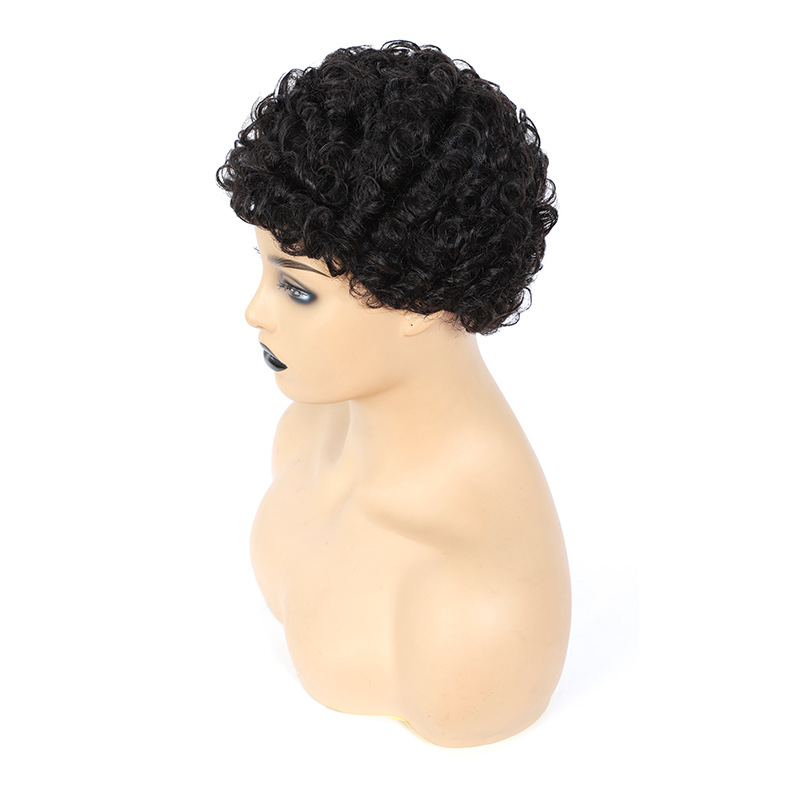 Afro Women Human Short Kinky Curly Wig Wavy Hair Wigs Daily Party Wigs