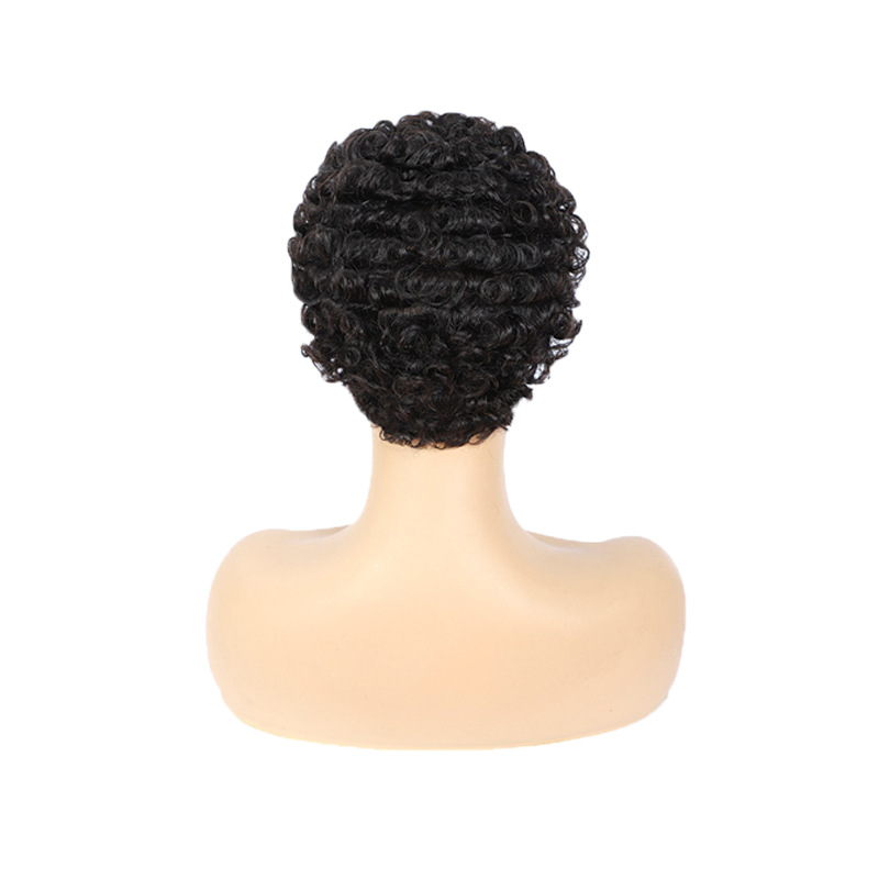 Afro Women Human Short Kinky Curly Wig Wavy Hair Wigs Daily Party Wigs