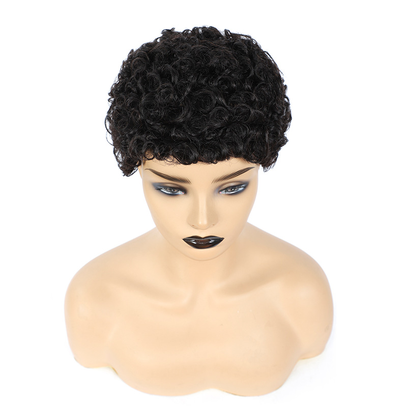 Afro Women Human Short Kinky Curly Wig Wavy Hair Wigs Daily Party Wigs