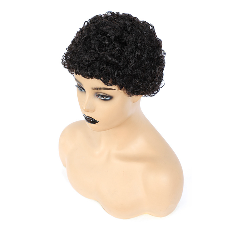 Afro Women Human Short Kinky Curly Wig Wavy Hair Wigs Daily Party Wigs