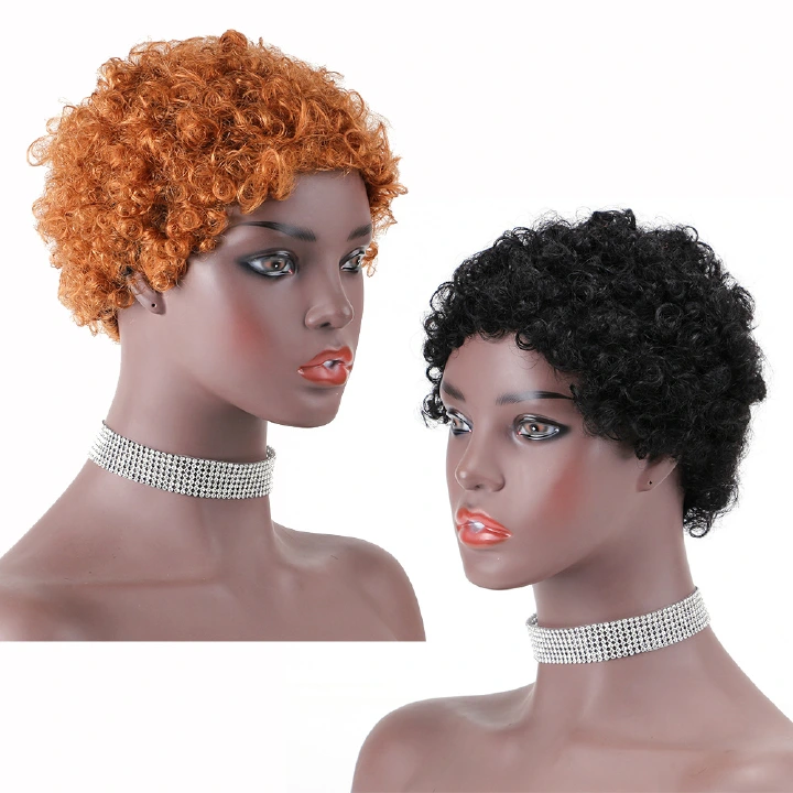 Afro Wigs Women Fashion Short rolls Hair wig Cosply Daily  Party Wigs Black Brown Human Real Wigs