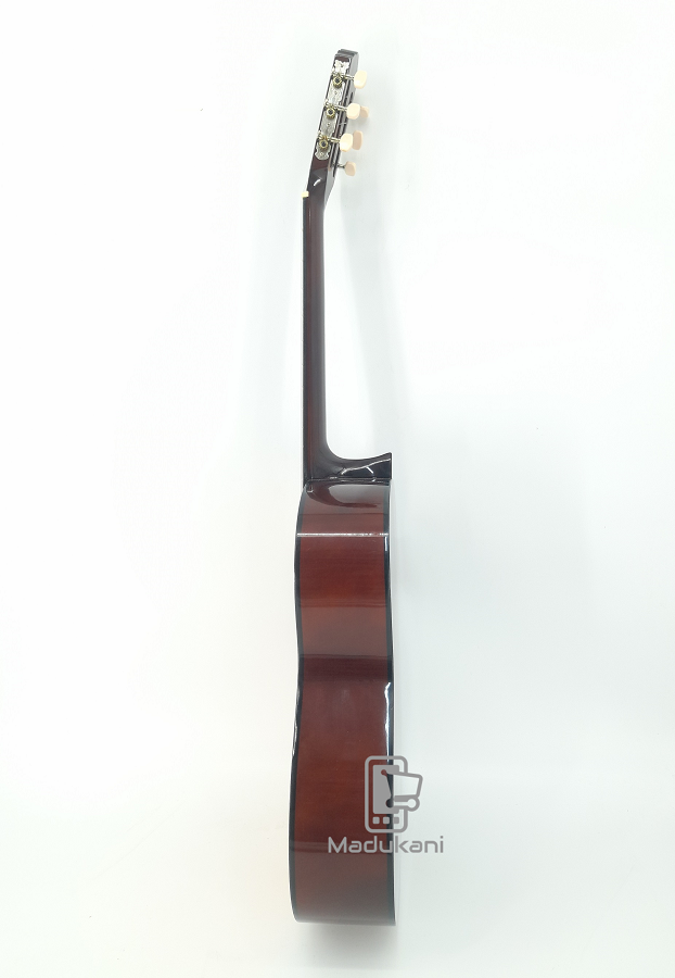 Ibanez Full Size Classical Guitar