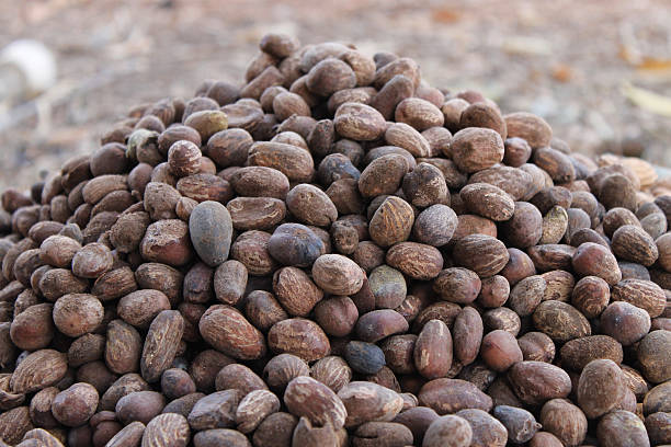 SHEA BUTTER 350g WHIPPED RAW From Ghana Body And Face  Moisturizing Nourishing Hydrating Smoothing
