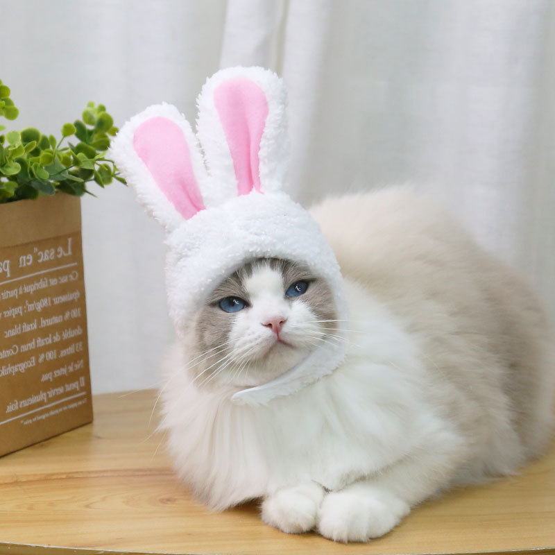 2PC Funny Easter Cute Plush Costume Cat Deformation Hat Rabbit Headwear Pet Accessories for Cats and Small Dogs Hat Pet Products