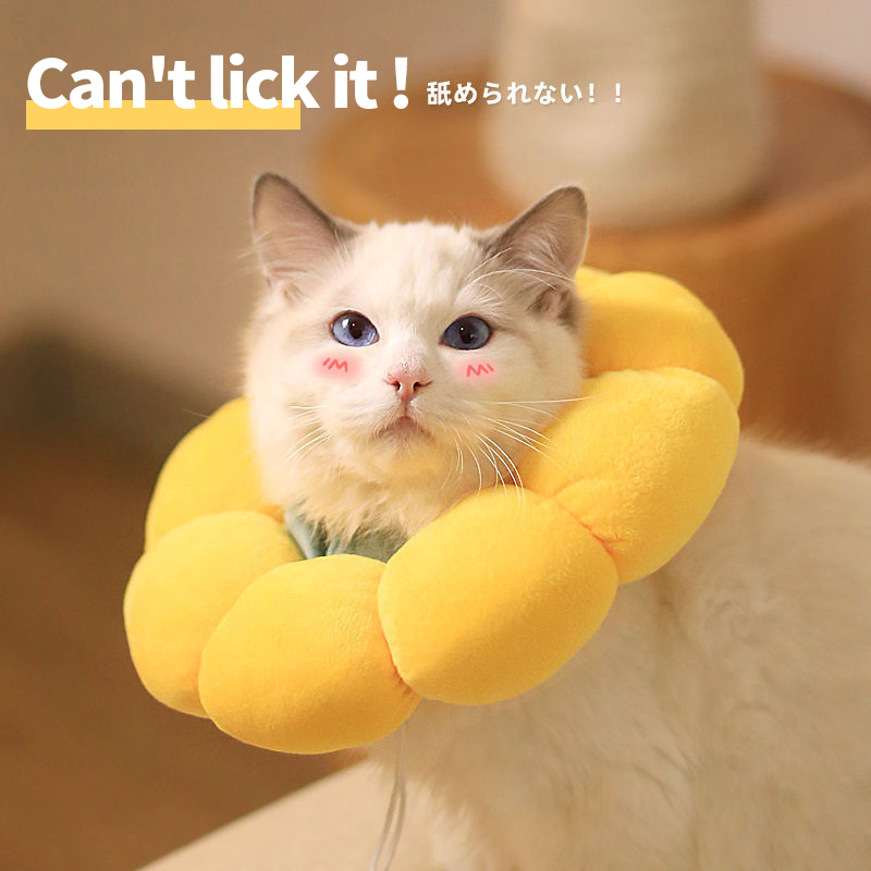 Cat Collar Anti Scratch Bite Anti Lick Wound Cat Bib Light And Comfortable Cat Products Cat Accessories