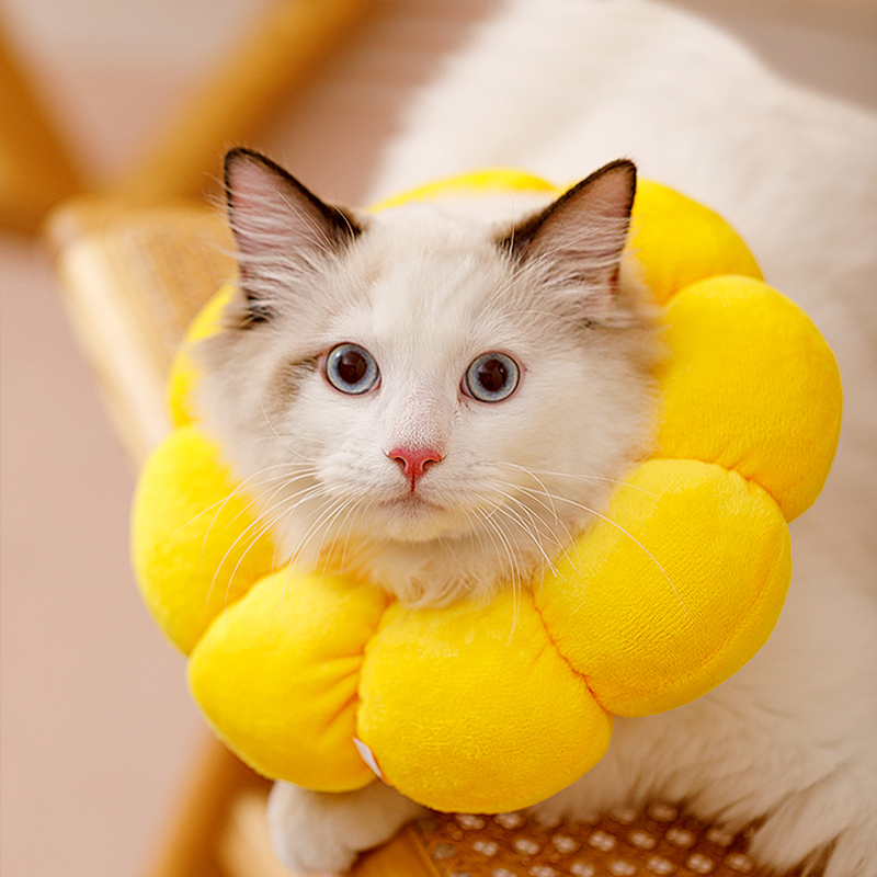 Cat Collar Anti Scratch Bite Anti Lick Wound Cat Bib Light And Comfortable Cat Products Cat Accessories