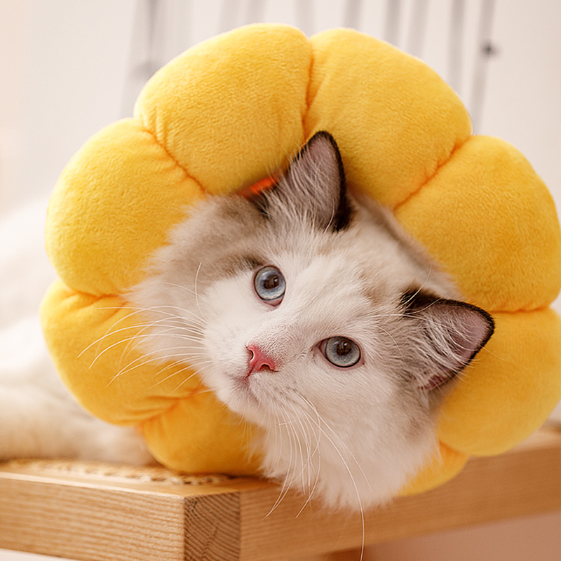 Cat Collar Anti Scratch Bite Anti Lick Wound Cat Bib Light And Comfortable Cat Products Cat Accessories