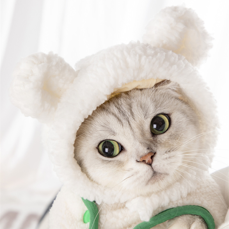 Cat and Dog Hat Comfortable Short Plush Bear Headgear Cat and Dog Cute Headgear for Cat Chihuahua Small Dog Pet Accessories