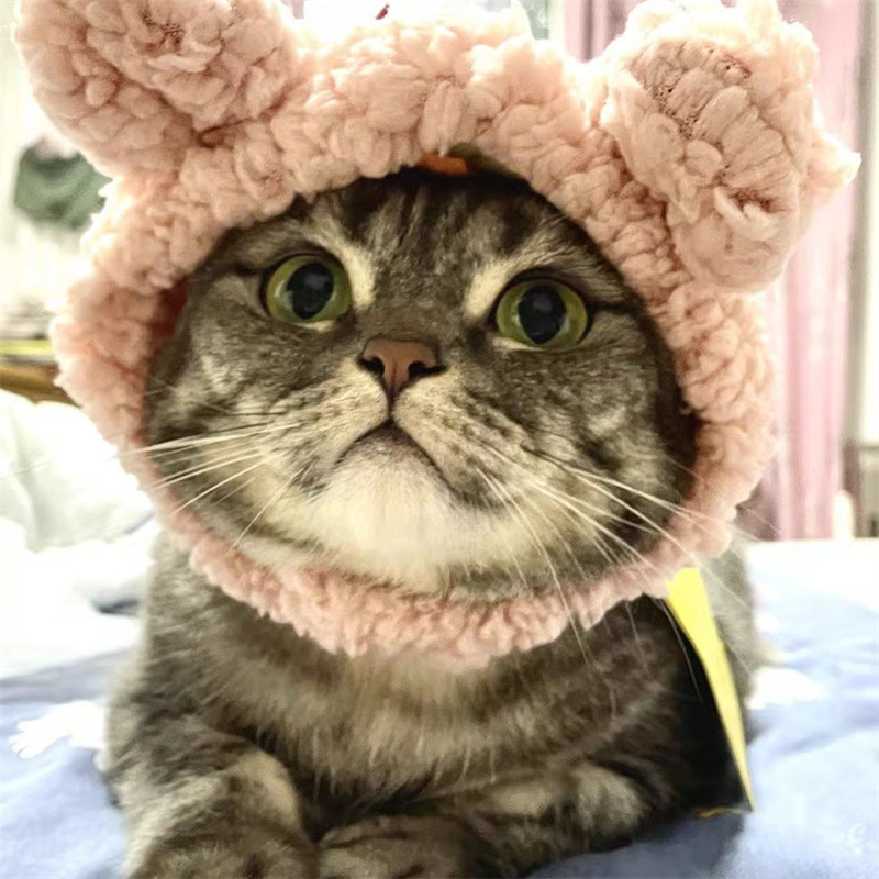 Cat and Dog Hat Comfortable Short Plush Bear Headgear Cat and Dog Cute Headgear for Cat Chihuahua Small Dog Pet Accessories