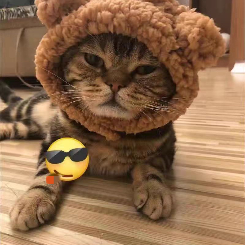 Cat and Dog Hat Comfortable Short Plush Bear Headgear Cat and Dog Cute Headgear for Cat Chihuahua Small Dog Pet Accessories