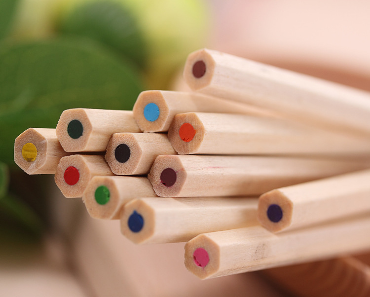 12 Color x2 Pencil Set Cute Japanese Korean Stationery Drawing Art Colored Crayons for School Supplies Pencils Pens Wholesale