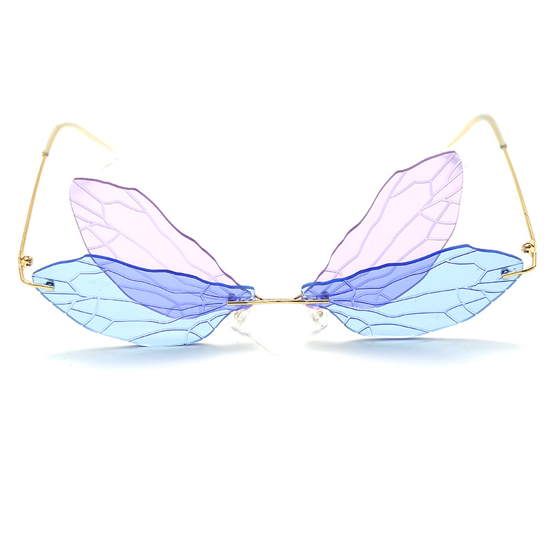 Personalized Dragonfly Sunglasses Vintage Dragonfly Steampunk glasses frameless gradient transparent lens