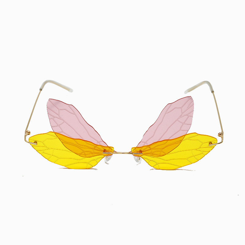 Personalized Dragonfly Sunglasses Vintage Dragonfly Steampunk glasses frameless gradient transparent lens