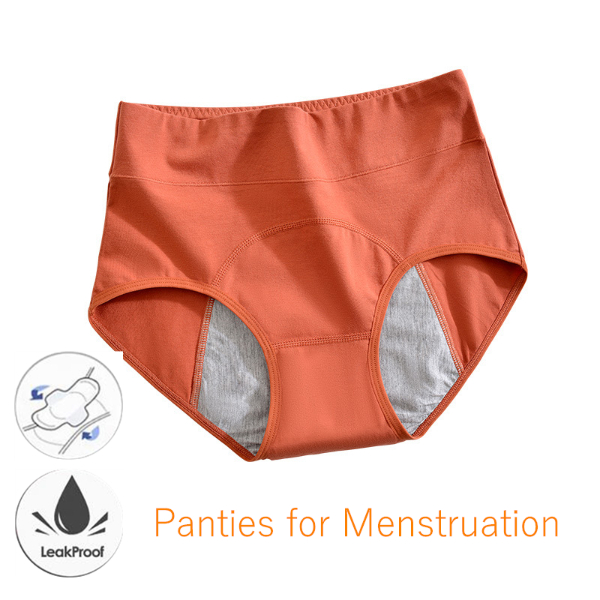 5pcs  Panties for Menstruation Cotton Menstrual Panties High Waist Period Underwear  Lingerie