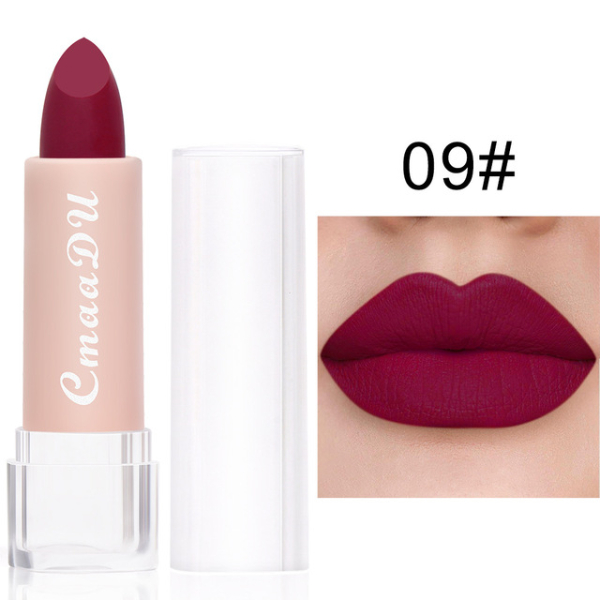 2022 New Sexy 15 Colors Lips Makeup Lipstick Lip Gloss Long Lasting Moisture Cosmetic Lipstick  Makeup