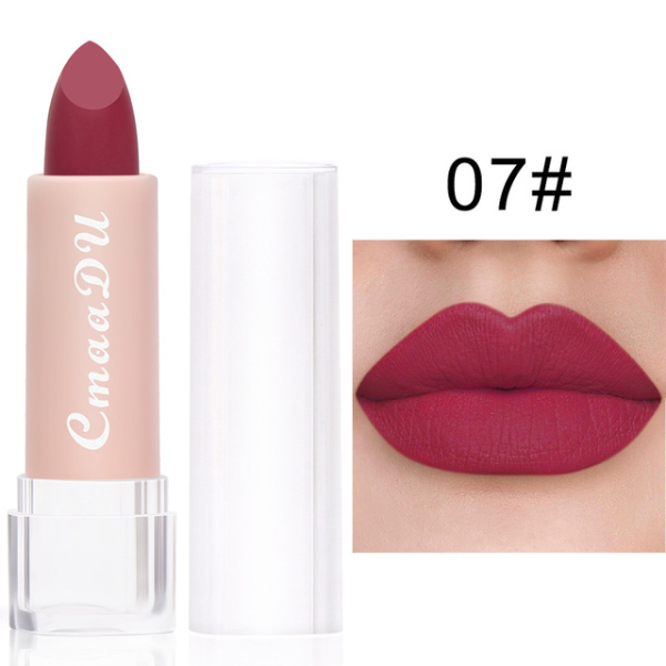 2022 New Sexy 15 Colors Lips Makeup Lipstick Lip Gloss Long Lasting Moisture Cosmetic Lipstick  Makeup