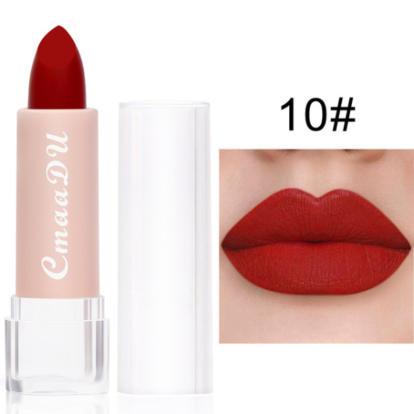2022 New Sexy 15 Colors Lips Makeup Lipstick Lip Gloss Long Lasting Moisture Cosmetic Lipstick  Makeup