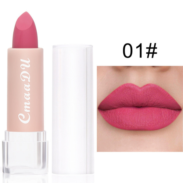 2022 New Sexy 15 Colors Lips Makeup Lipstick Lip Gloss Long Lasting Moisture Cosmetic Lipstick  Makeup
