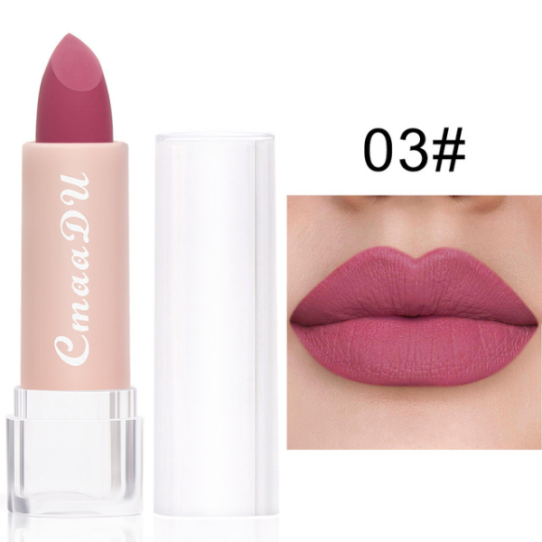 2022 New Sexy 15 Colors Lips Makeup Lipstick Lip Gloss Long Lasting Moisture Cosmetic Lipstick  Makeup