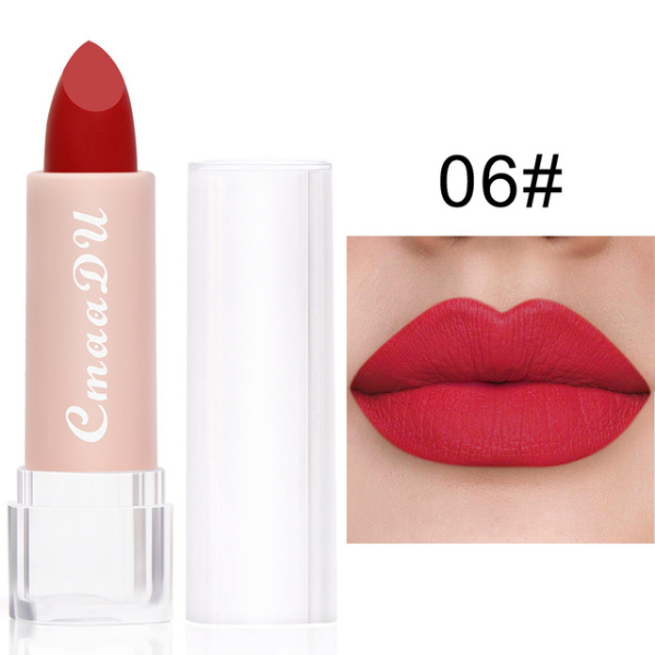 2022 New Sexy 15 Colors Lips Makeup Lipstick Lip Gloss Long Lasting Moisture Cosmetic Lipstick  Makeup