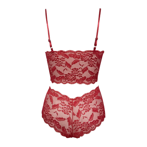 Sexy Women Lingerie Set Thin Lace Flower Printed Underwear Suit Female Adjustable Shoulder Strap Lingerie