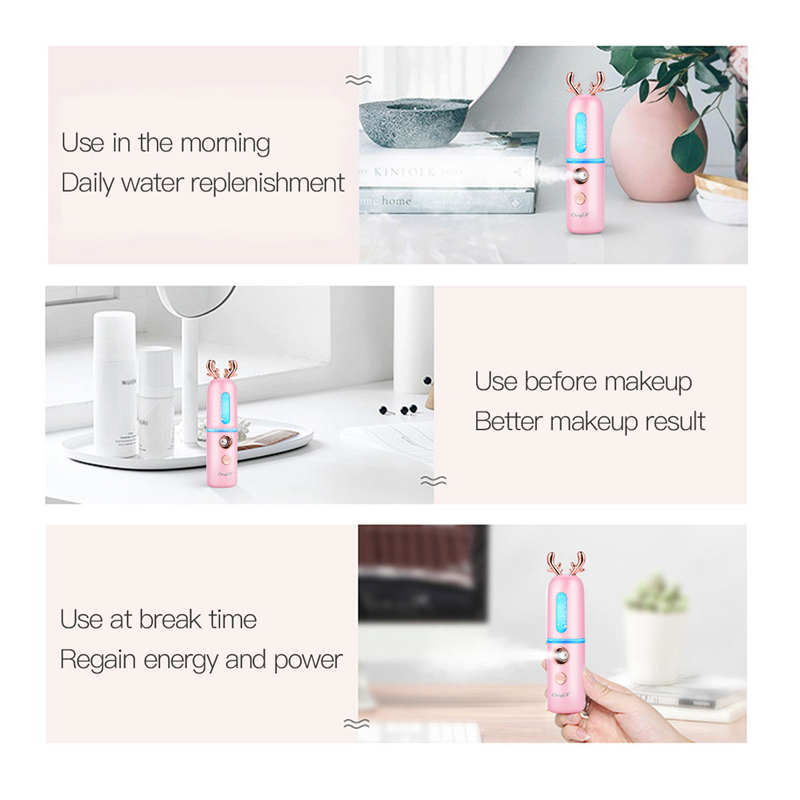30ML Nano Facial Mister USB Chargeable Face Humidifier 3D Cute Mini Atomizer