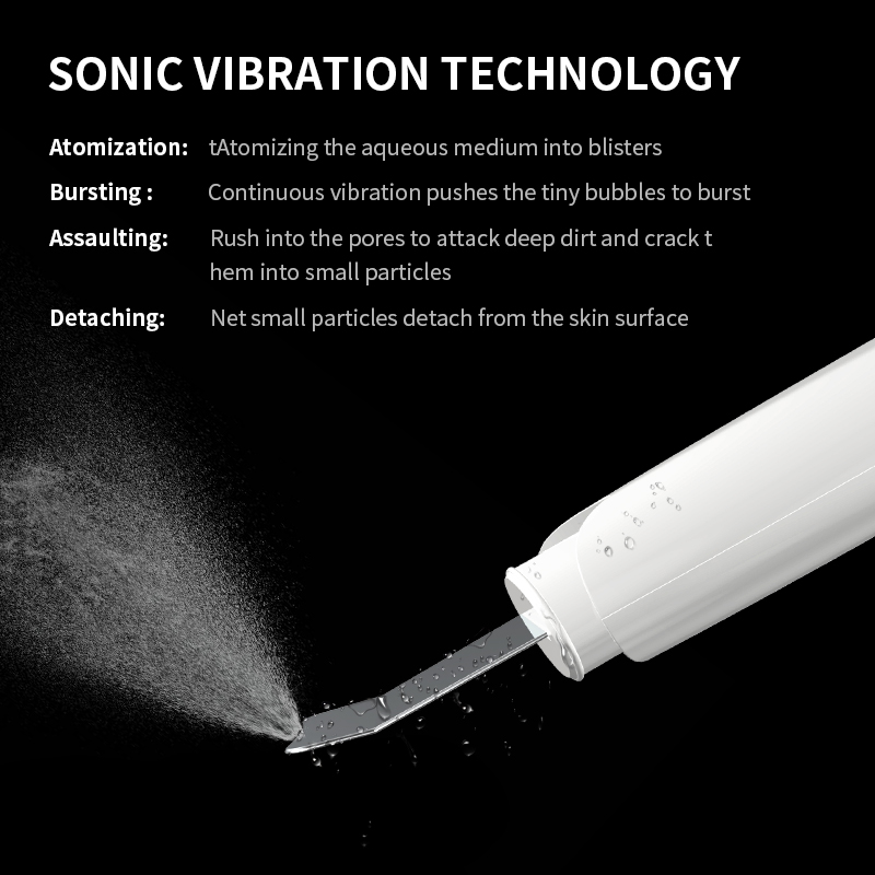 2 In 1 Ultrasonic Skin Scrubber Ion Deep Face Ultrasonic Cleaning Remove Acne Blackheads Replaceable Head Peeling Shovel